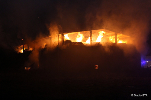 pozarsenikRudnapodPradedem (BR)_STA (13).JPG