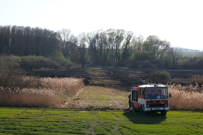 pozarstromyrakosiBrumovice (5).JPG