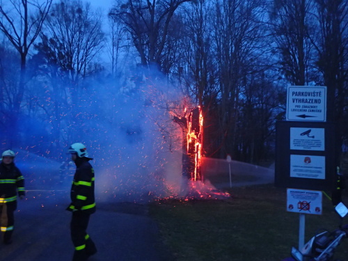 pozarstromzamekSilherovice (2).JPG