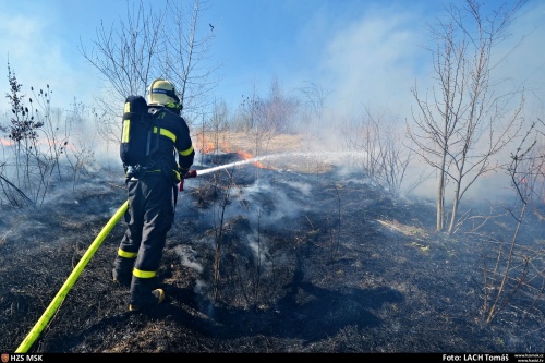 pozartravakerestromyhaldaOstrava (8).jpg
