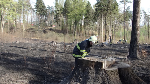 pozrles5haHavirov (KI) (10).JPG