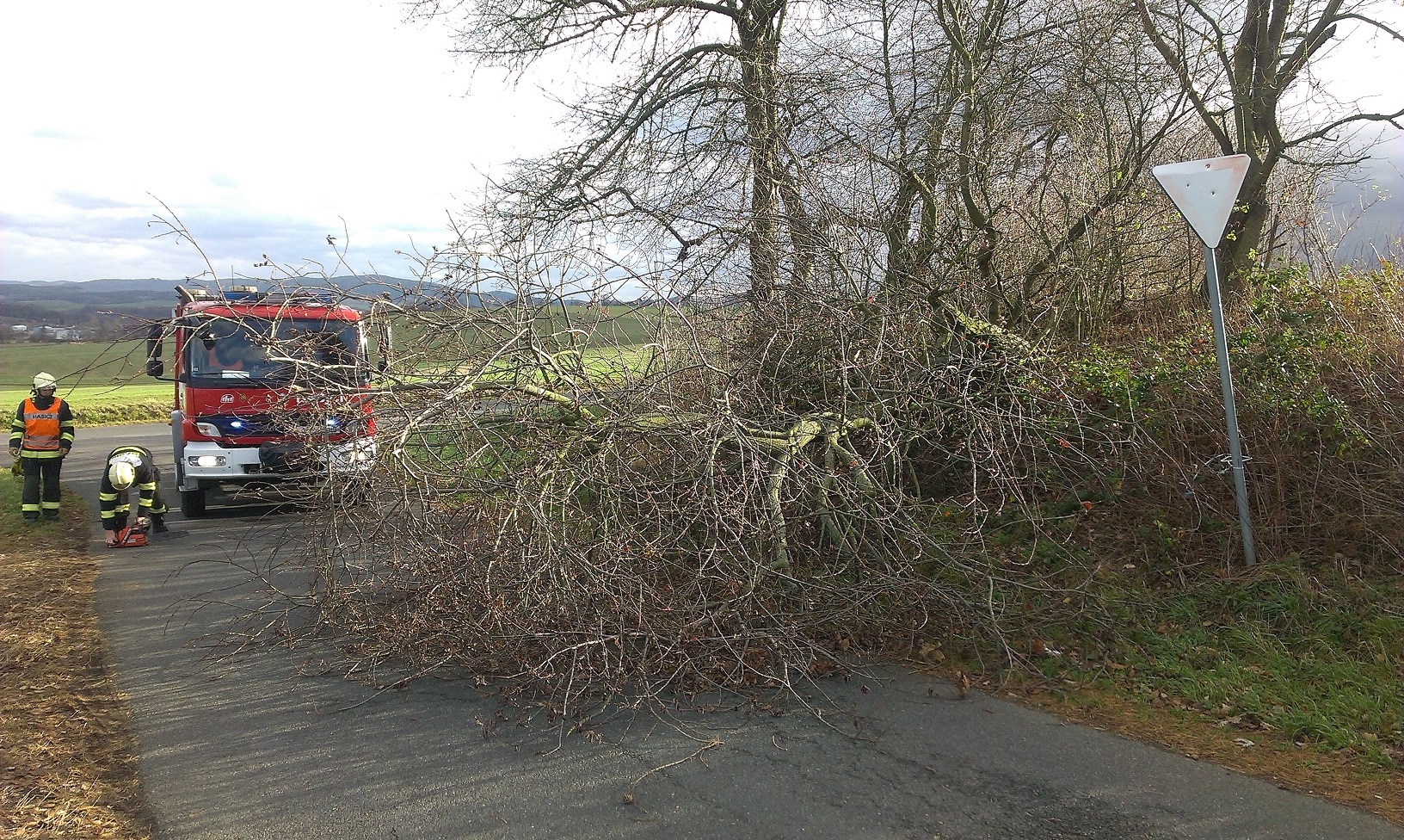 prilohy_12983/18.11.2015 Domazlice odstraneni stromu.JPG