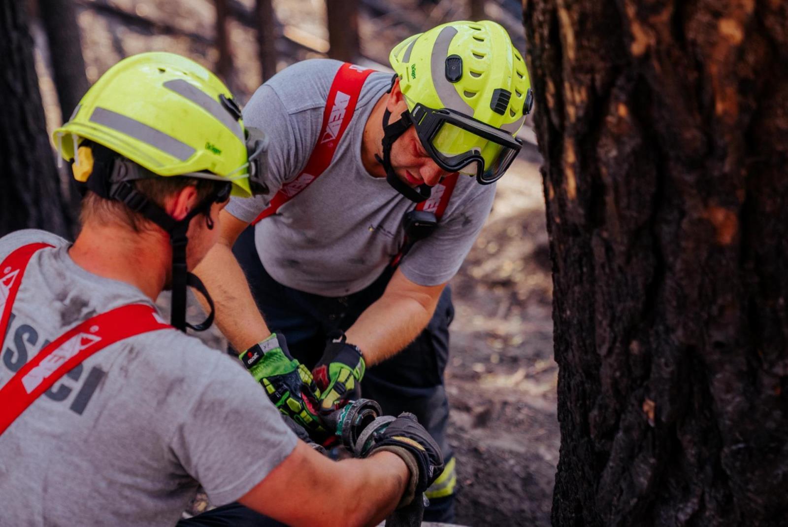 publicpreview (55).jpg