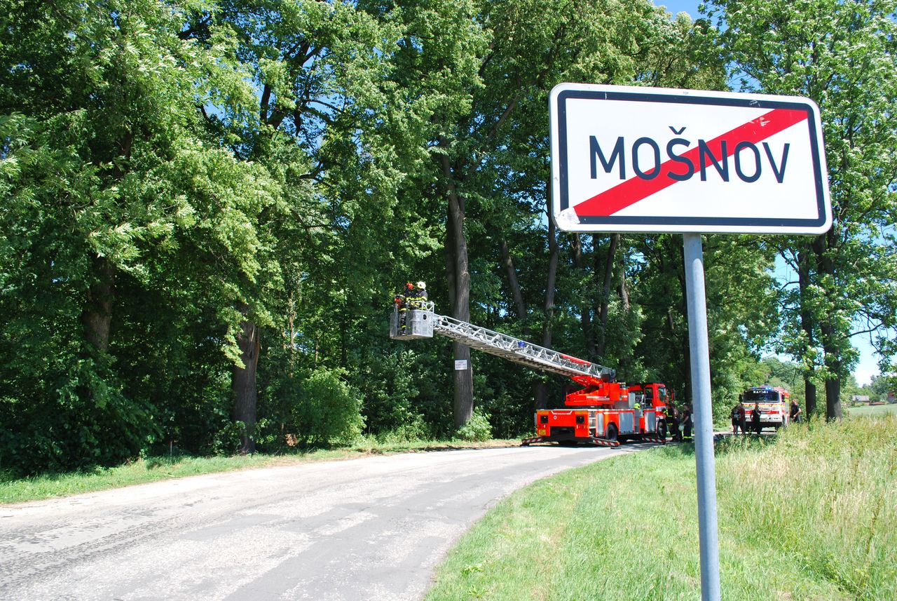 rezanistromMosnov (9).JPG