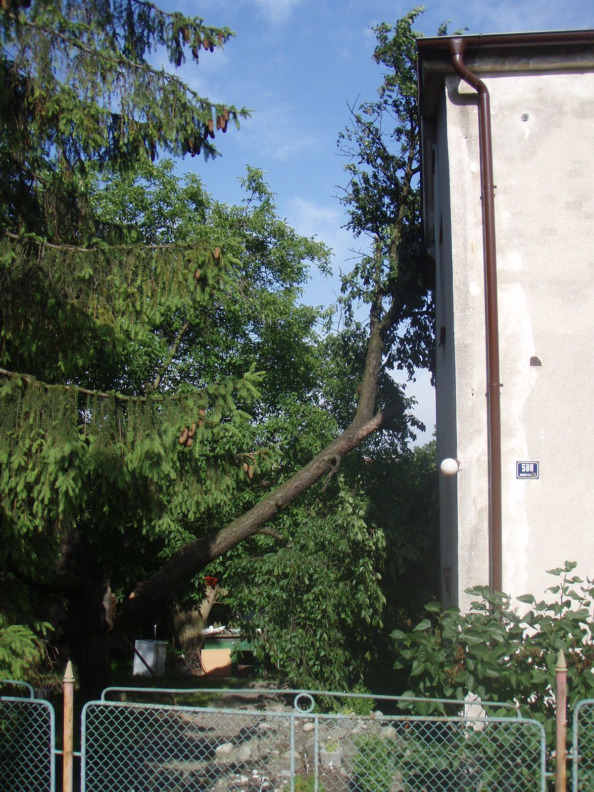 silnyvitrOrlova (4).JPG