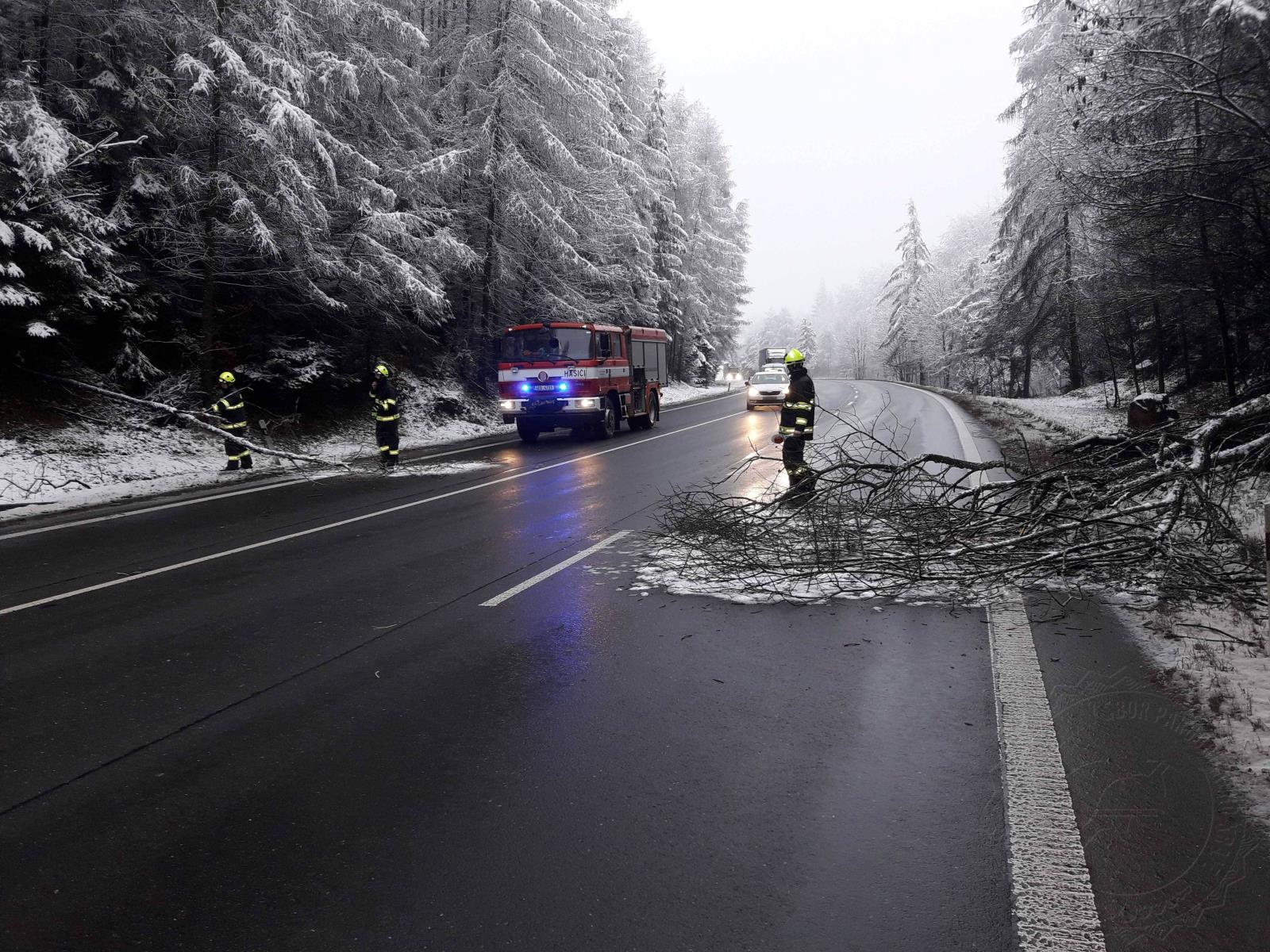 spadlý strom 6-1-2021.jpg
