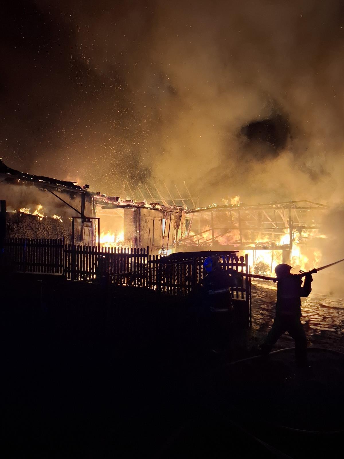 stažený soubor.jpeg