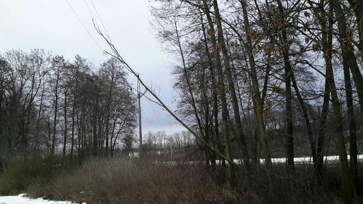 strom na dratech el_vedeni_Vyskov.jpg