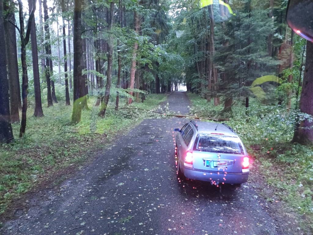 strom přes cestu.jpeg