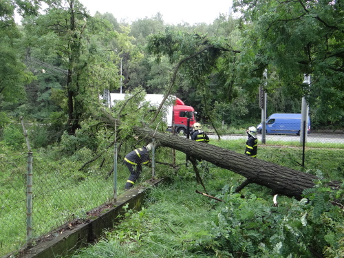 strom2akatymenirnaOstrava (15).JPG