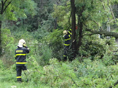 strom2akatymenirnaOstrava (18).JPG