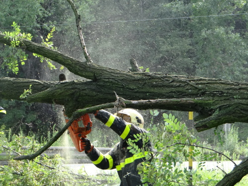 strom2akatymenirnaOstrava (20).JPG
