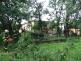 strom2akatymenirnaOstrava (23)
