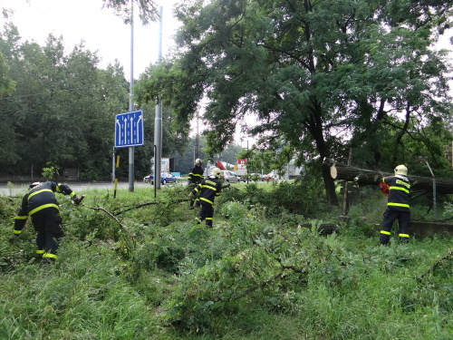 strom2akatymenirnaOstrava (26).JPG