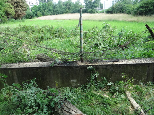 strom2akatymenirnaOstrava (28).JPG