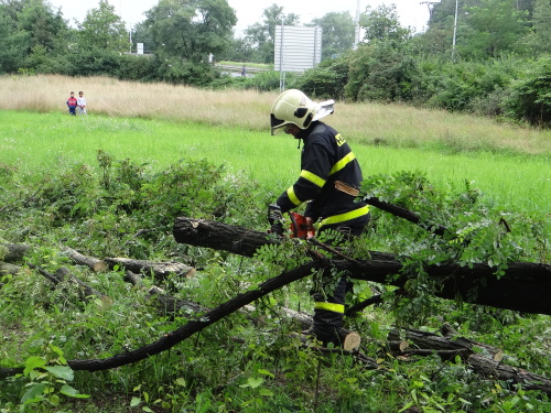 strom2akatymenirnaOstrava (7).JPG