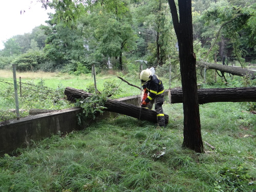 strom2akatymenirnaOstrava (9).JPG