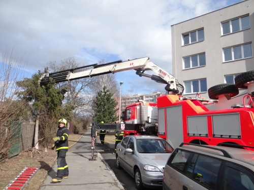 stromBizonOVZabreh (1).JPG