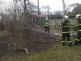 stromDPSMagnolieOV_Vitkovice (2)