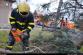 stromPetrvald (2)