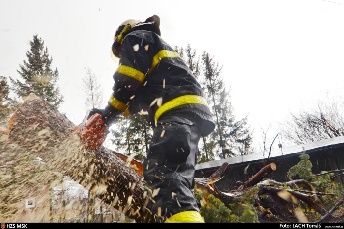 stromPetrvald (5).jpg