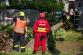 strom_potok_Bravantice_NJ_1