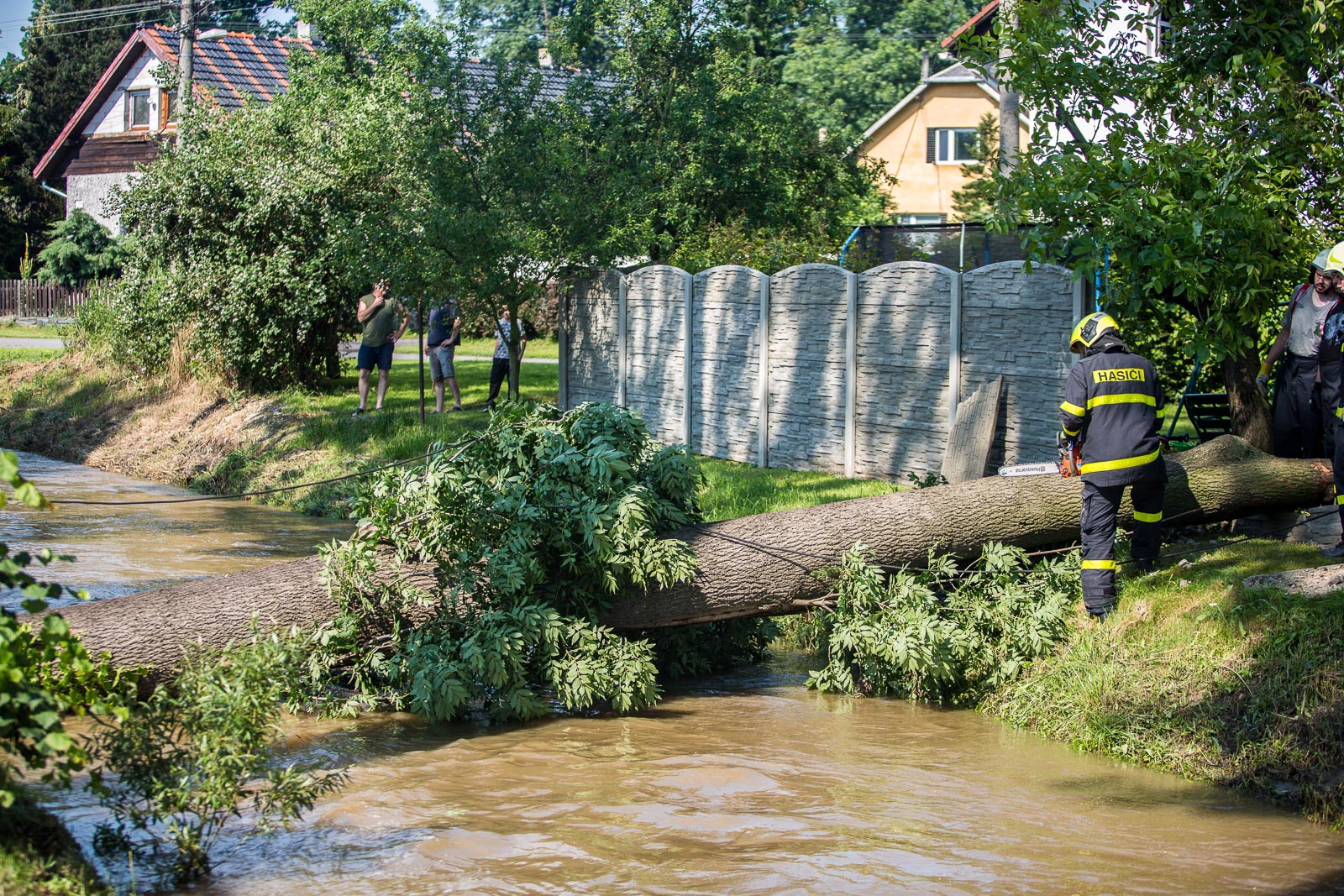 strom_potok_Bravantice_NJ_2.jpg