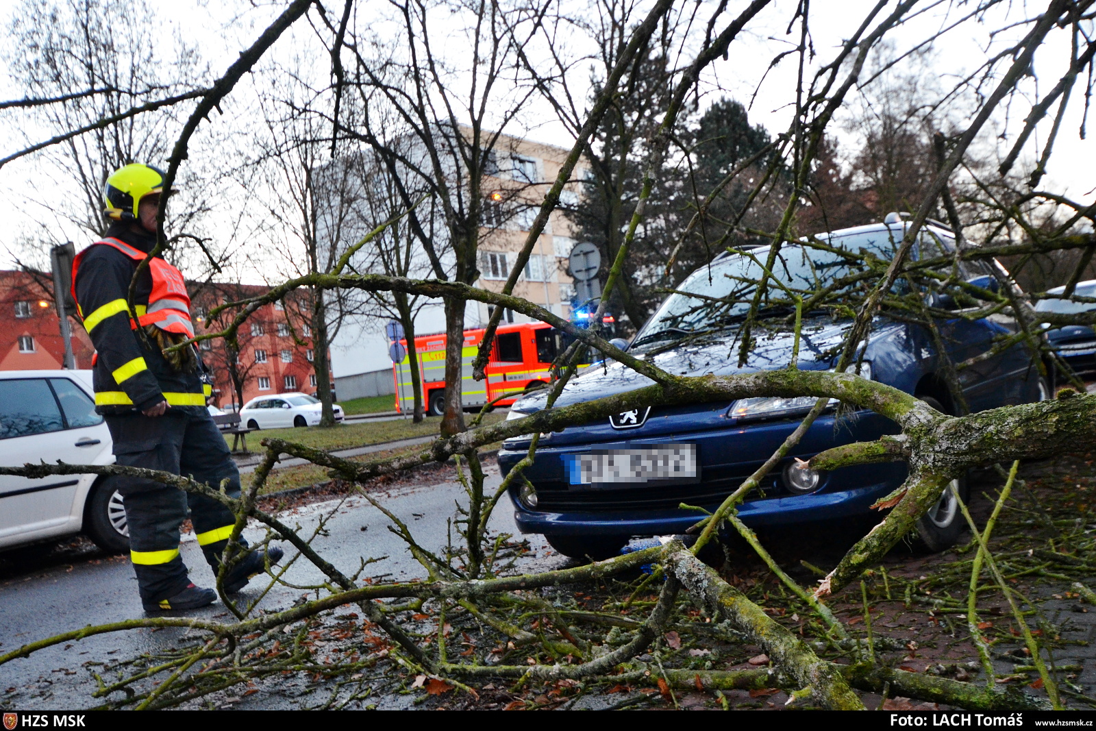 stromautoVolgogradskaOstravaII_Lach (1).JPG