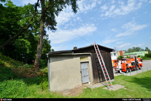 stromkacenihristeKoblov (6).JPG