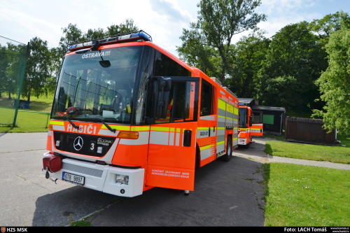 stromkacenihristeKoblov (9).JPG