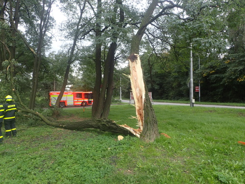 stromtrolejeOVHrusov_II (1).JPG