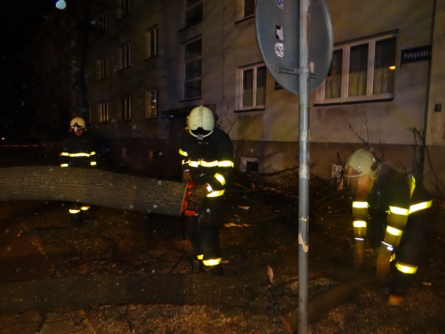 stromvitrzraneniOstravaZabreh (28).JPG