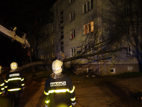 stromvitrzraneniOstravaZabreh (24).JPG