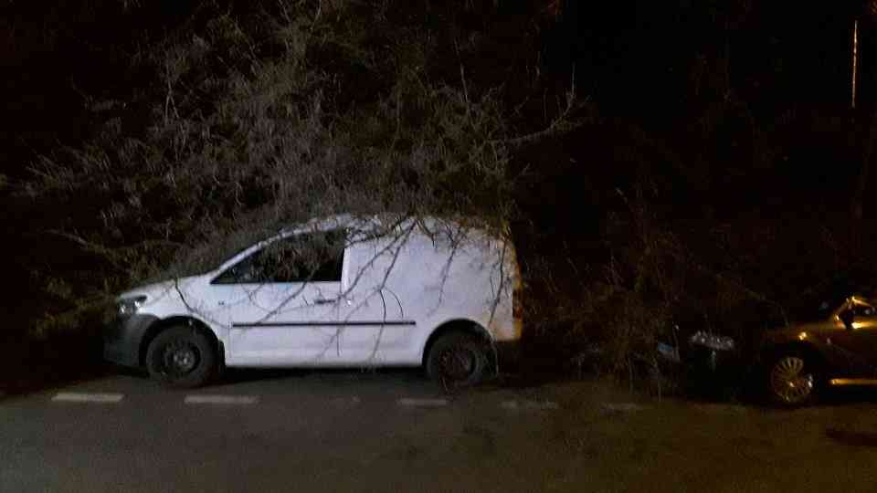 stromy na autech Sternberk ulice Unicovska