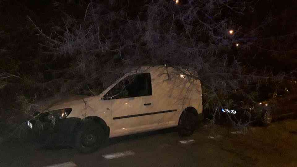 stromy na autech Sternberk ulice Unicovska