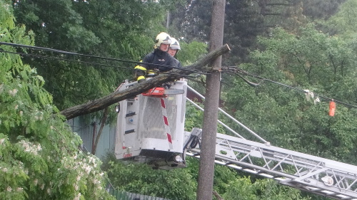 stromzastavkakaceniOstrava (10).JPG