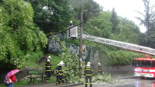 stromzastavkakaceniOstrava (13).JPG
