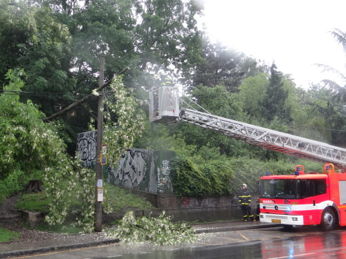 stromzastavkakaceniOstrava (6).JPG