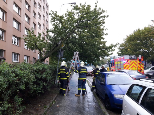stromznackaDubina (1 OV).jpg