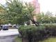 stromznackaDubina (2)