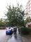 stromznackaDubina (3)