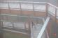 totman_2022_24