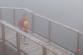 totman_2022_74