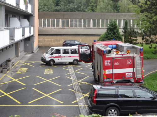 unikchlorrehustavHrabyne (OP) (13).JPG