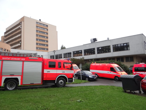 unikchlorrehustavHrabyne (OP) (15).JPG