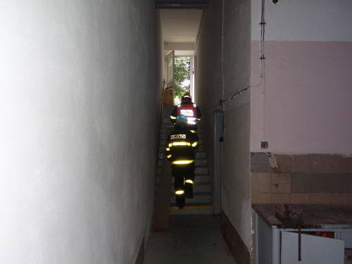 unikchlorrehustavHrabyne (OP) (3).JPG