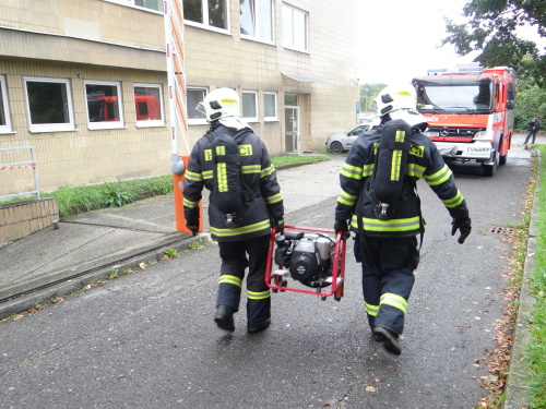 unikchlorrehustavHrabyne (OP) (6).JPG