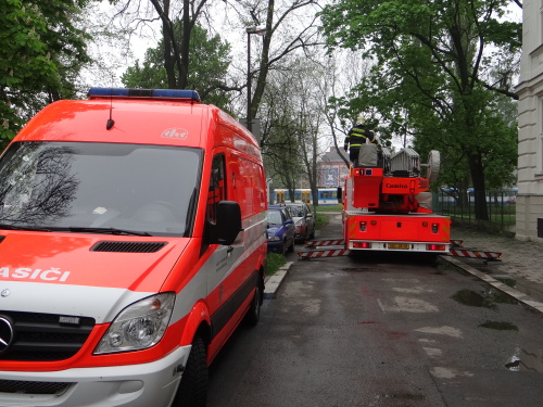 vcelylikvidaceskolaOstrava (9).JPG