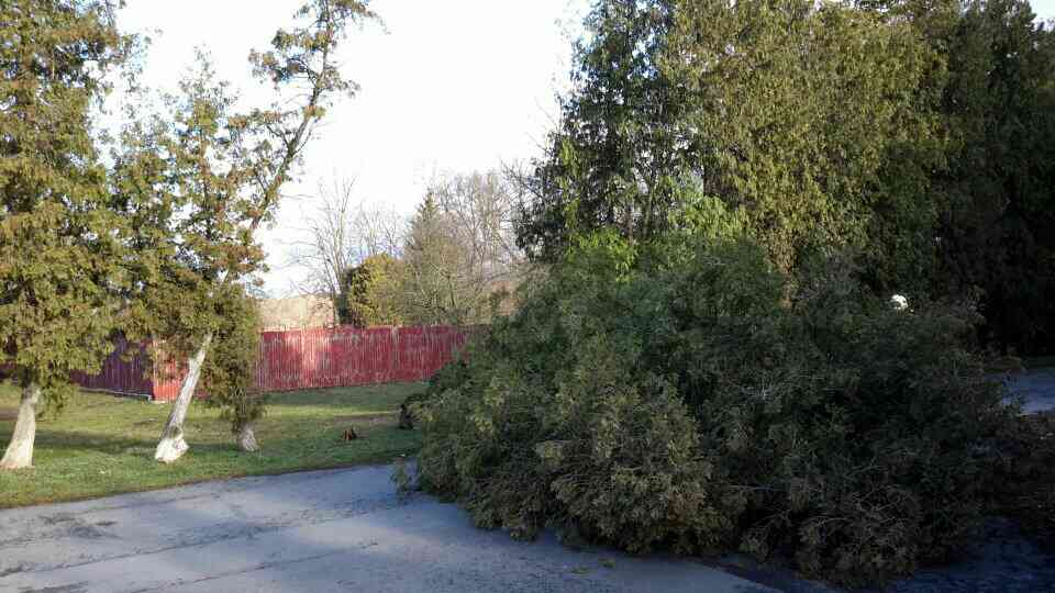 velmi silný vítr olomoucky kraj - foto aktualizace den 11.3.2019
