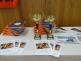 veslovani_IZS2014_Ostrava (1)